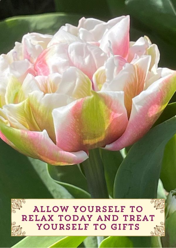 Tulip Cardset - for every day - Afbeelding 5